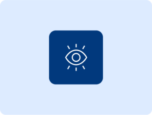 Lean Six Simga services overview icon frame eye